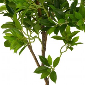 Искусственные растения Дерево счастья MK-7406-FT Темно-зеленый в Минусинске - minusinsk.katalogmebeli.com | фото 4