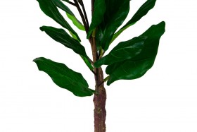 Искусственные растения Фикус лирата MK-7407-FC Темно-зеленый в Минусинске - minusinsk.katalogmebeli.com | фото 2