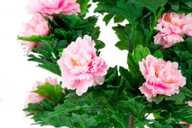 Искусственные растения Пион розовый MK-7411-HP Темно-зеленый в Минусинске - minusinsk.katalogmebeli.com | фото 2